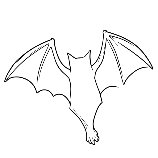 Clean black line drawing of a bat with spread wings on transparent background