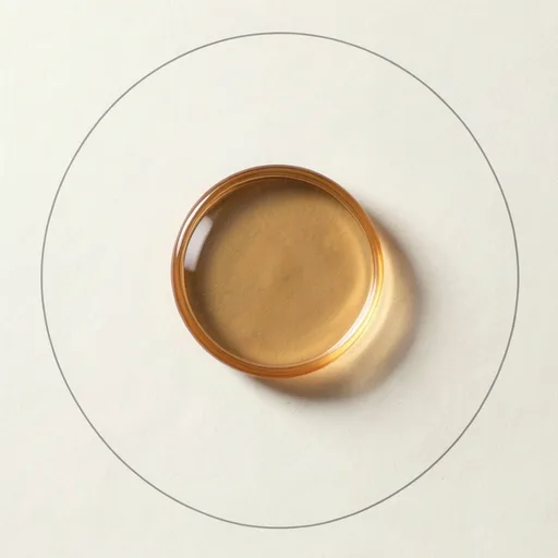 Amber glass disc casting a soft curved shadow against a cream background