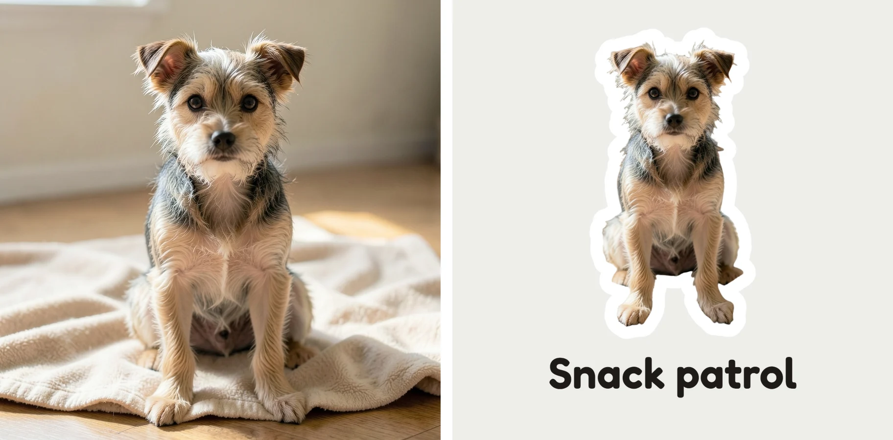 Terrier photo on a cream blanket beside its white-border sticker captioned Snack patrol