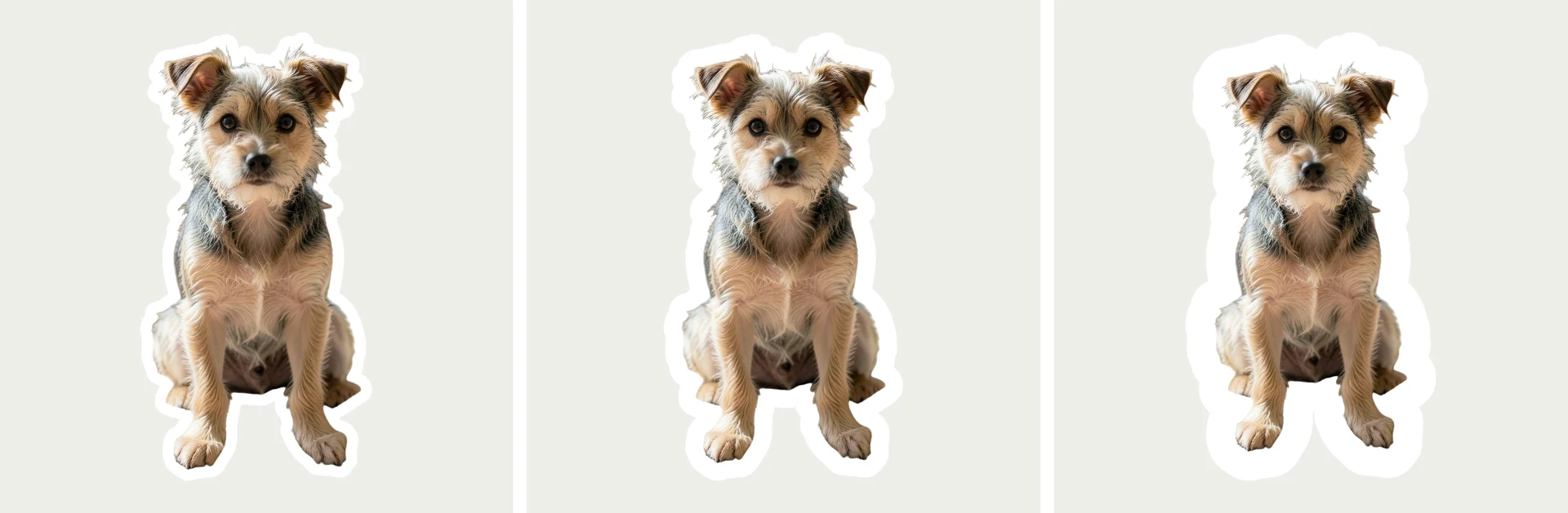 The same terrier sticker with thin, medium and thick white borders side by side